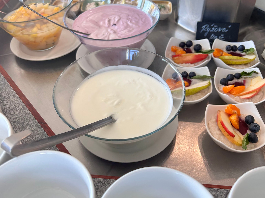 Hotel Jana Congress & Wellness主图