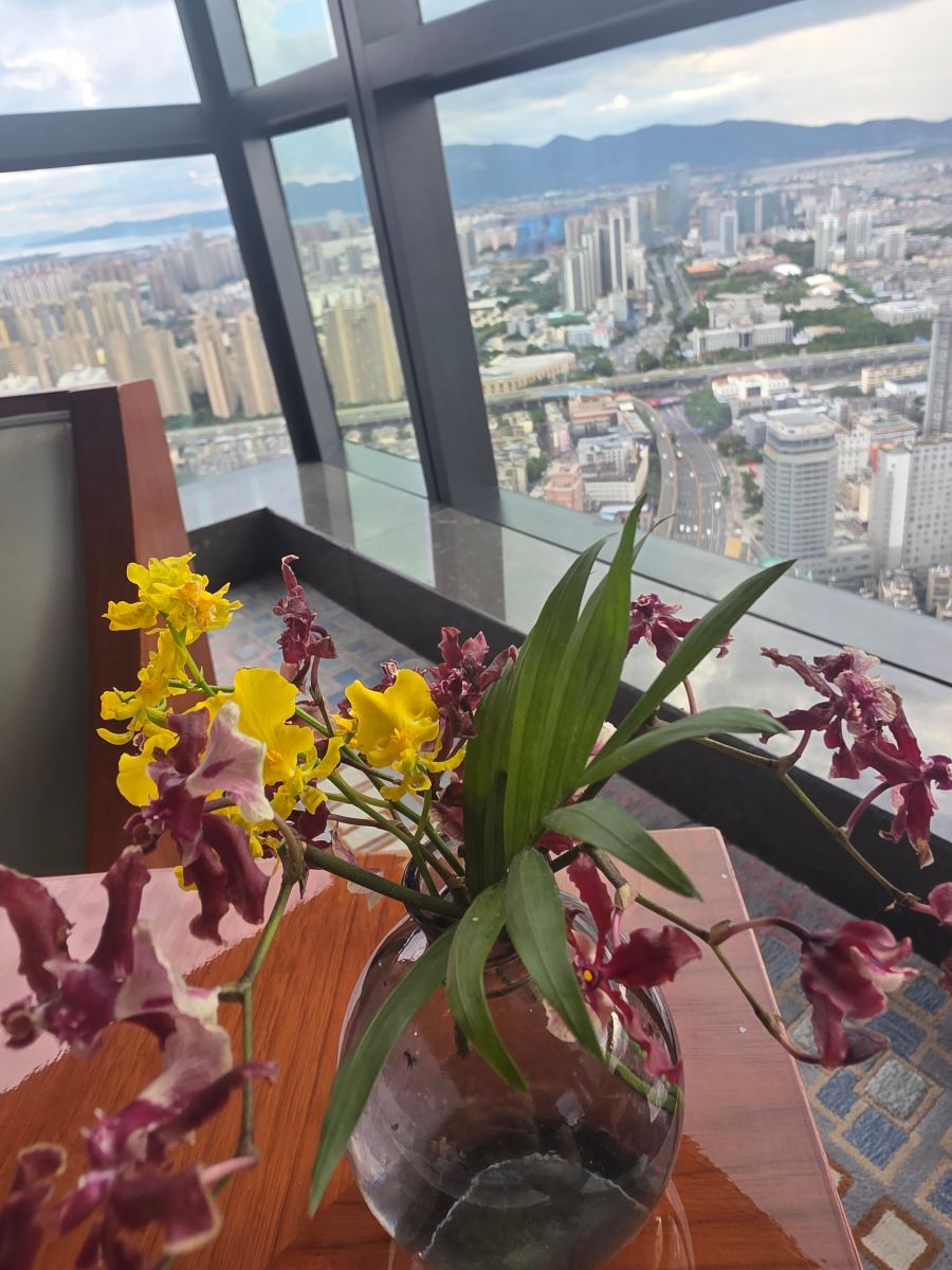 昆明索菲特大酒店-旅行者