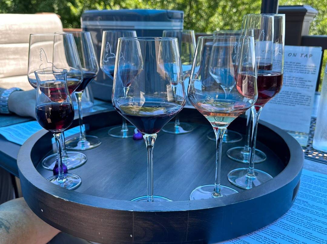 Celebration Cellars Winery-弗雷德里克必去景点