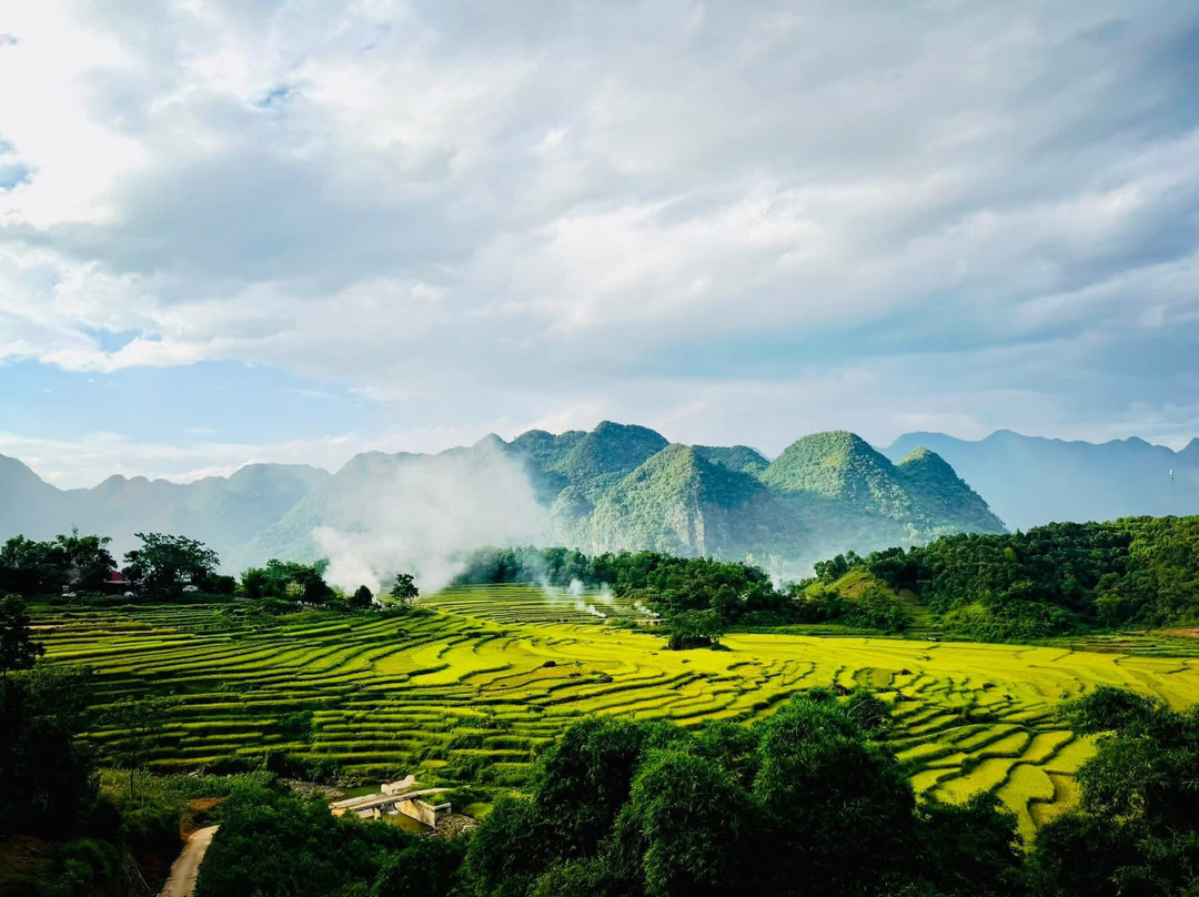 浦项自然小屋主图