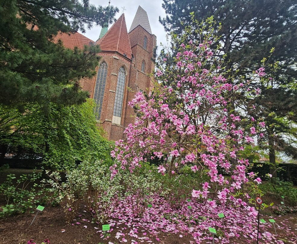 Botanical Garden of the University of Wrocław-弗罗茨瓦夫必去景点