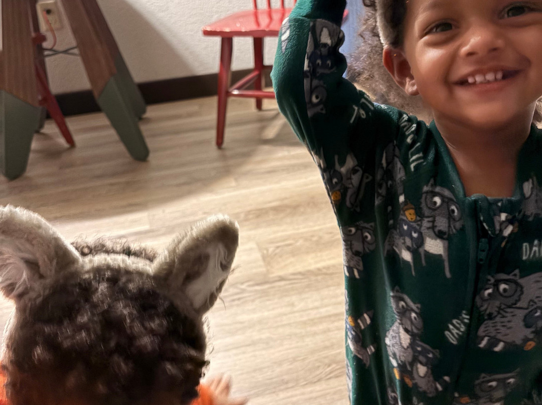 Great Wolf Lodge Williamsburg-威廉斯堡必去景点