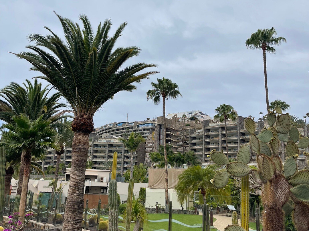Playa Anfi del Mar-Barranco de la Verga必去景点