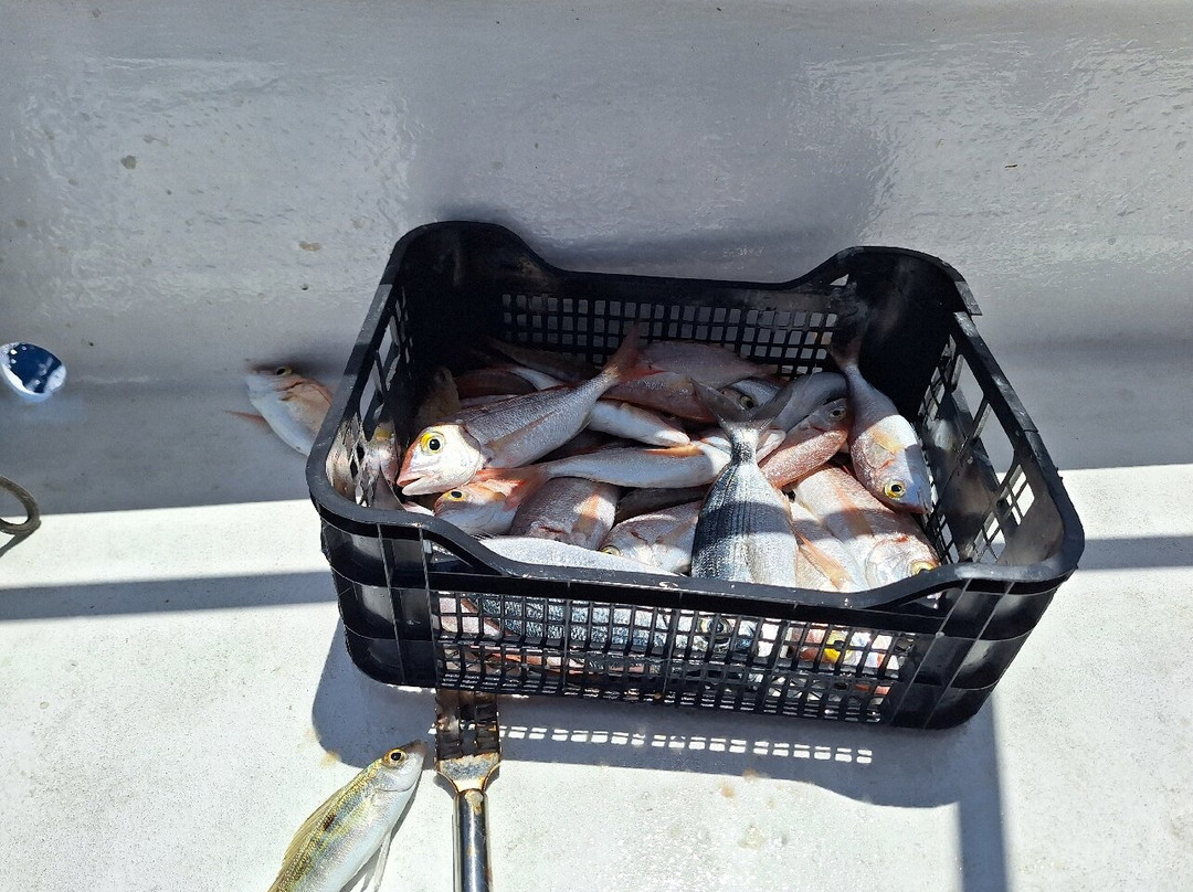 Fishing trips Manthos Agia Galini