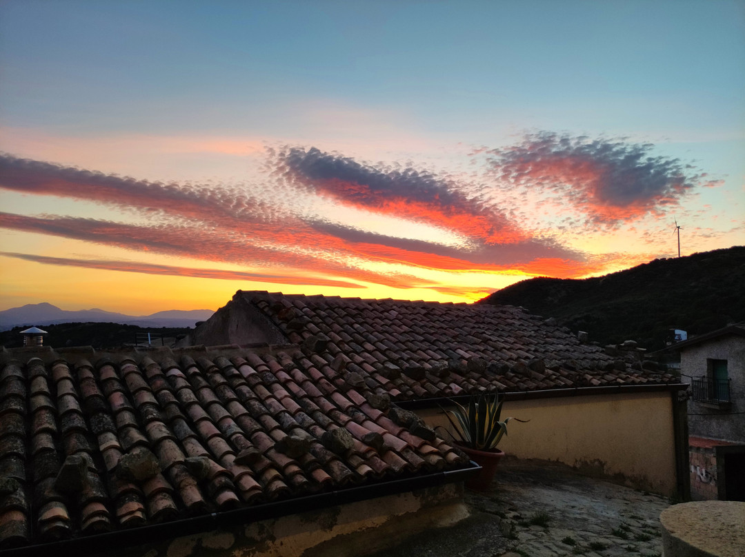 Museo dell'Olio-Colobraro必去景点