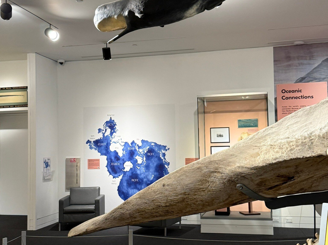 New Bedford Whaling Museum-新贝德福德必去景点