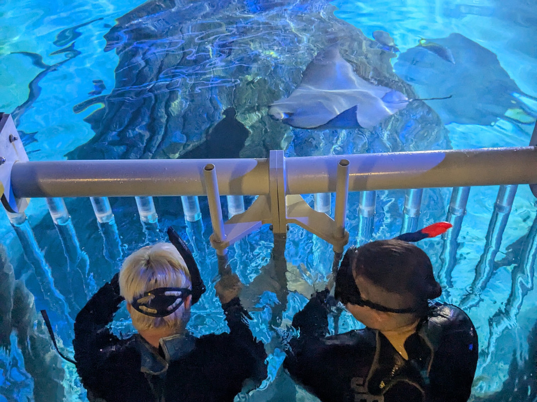 Sea Life Manchester-Trafford Park必去景点