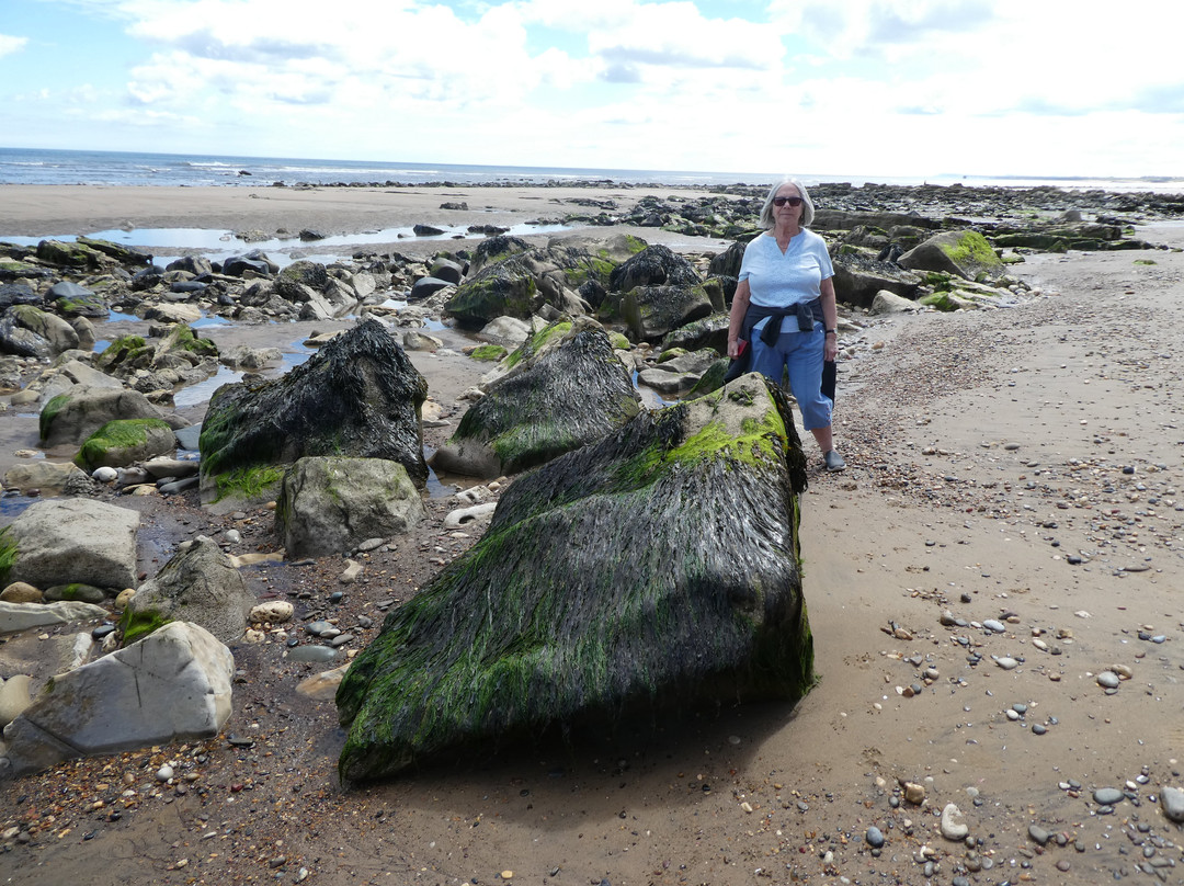Crimdon Dene Beach-哈特尔普尔必去景点