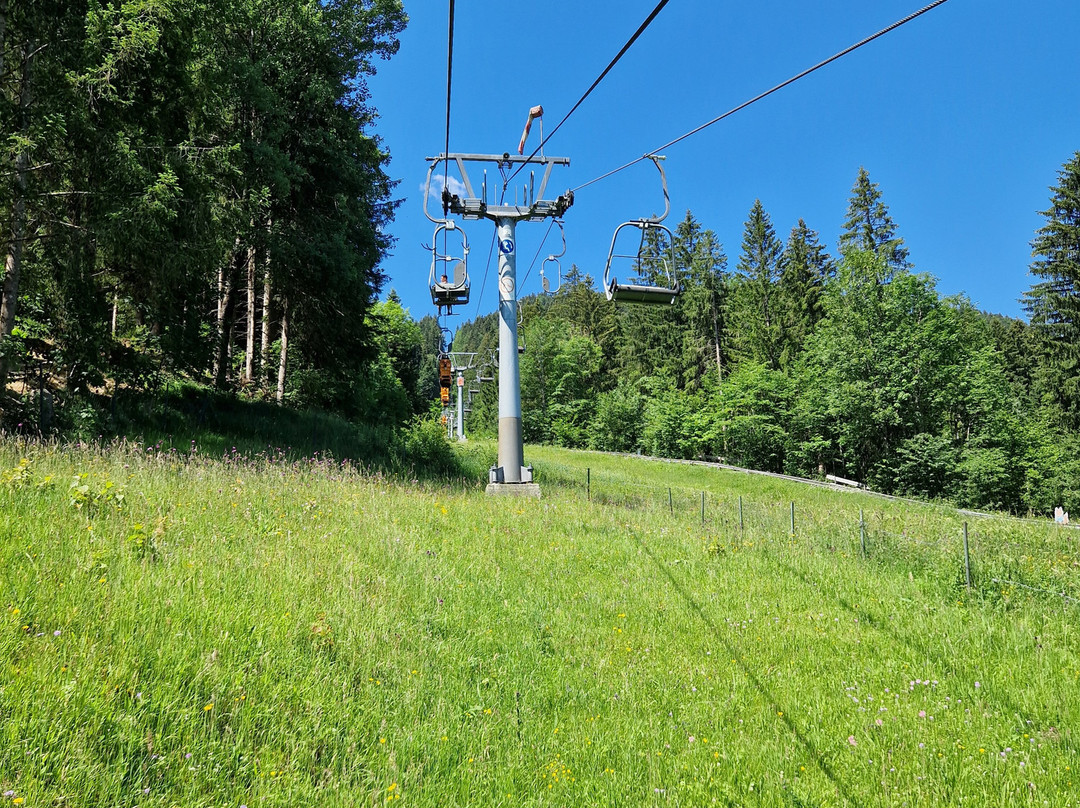 Alpine Coaster Oberammergau-奥伯阿默高必去景点