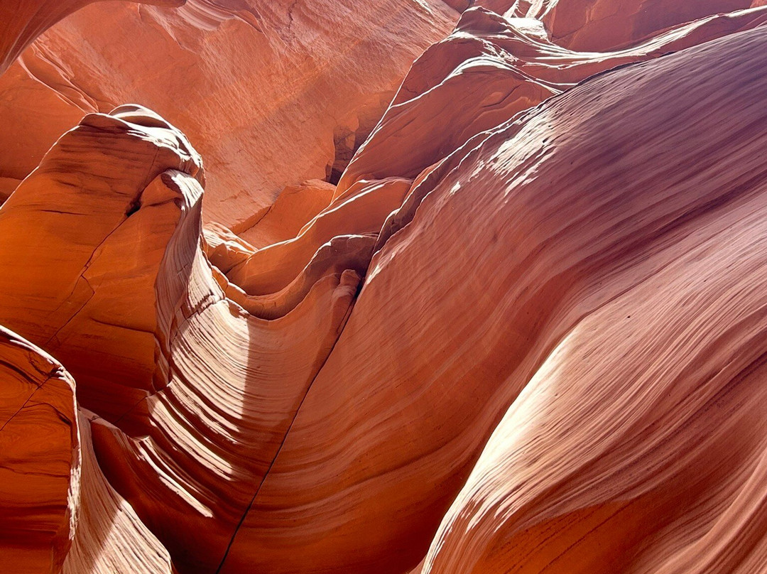 Antelope Canyon X By Taadidiin Tours-佩吉必去景点