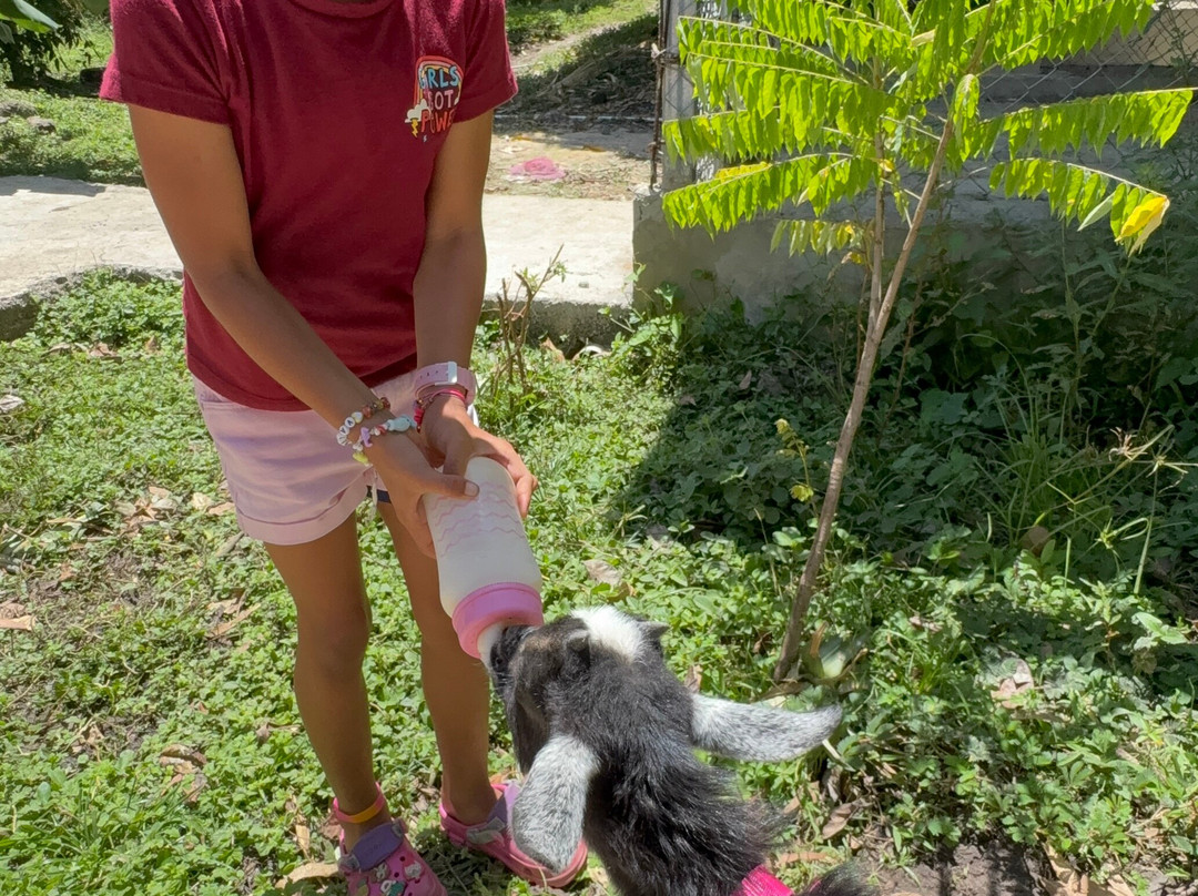 Monkey Home Puerto Plata-普拉塔港必去景点