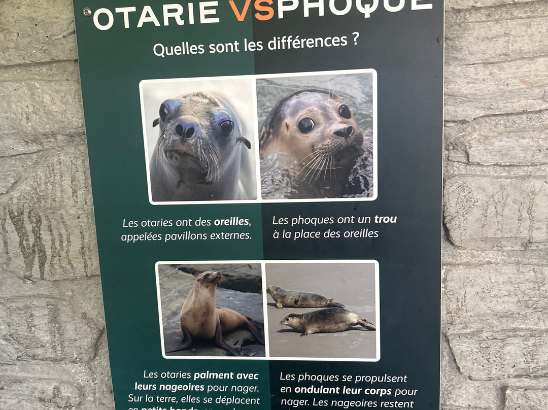 Zoo African Safari-Plaisance-du-Touch必去景点