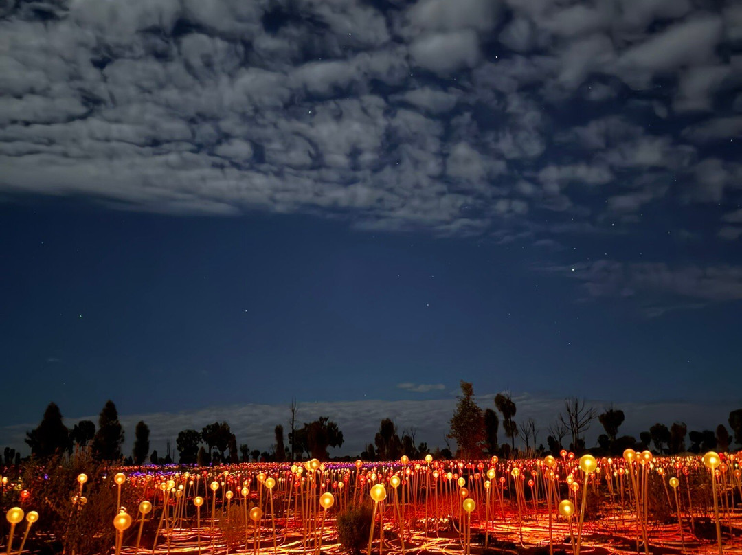 Field of Light-乌鲁鲁-卡塔丘塔国家公园必去景点