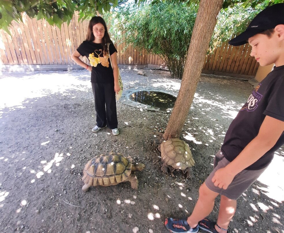 Reptilarium du Larzac-Sainte-Eulalie-de-Cernon必去景点