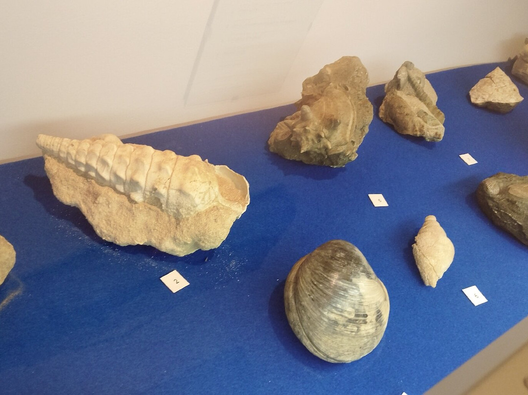 Museo della Marineria-切塞纳蒂科必去景点