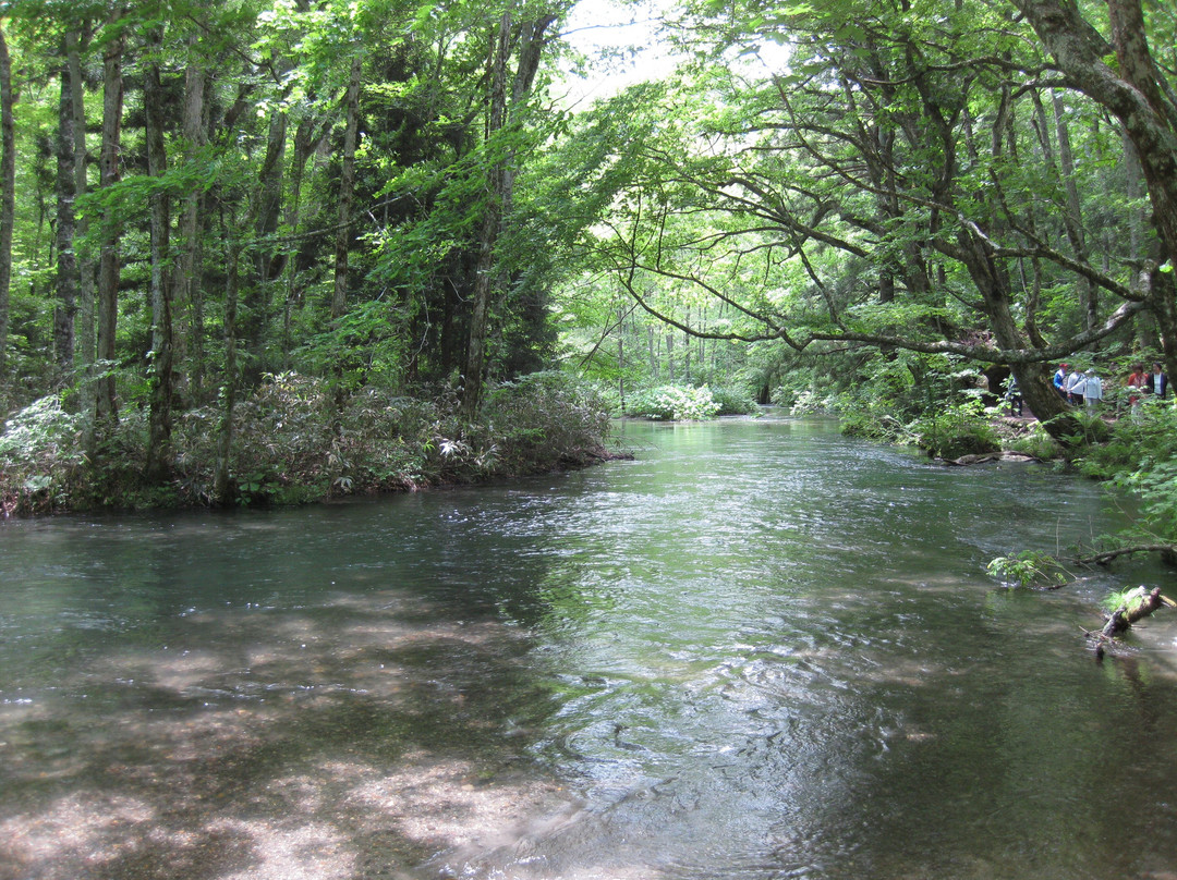 Ishigedo Rest Area-十和田市必去景点