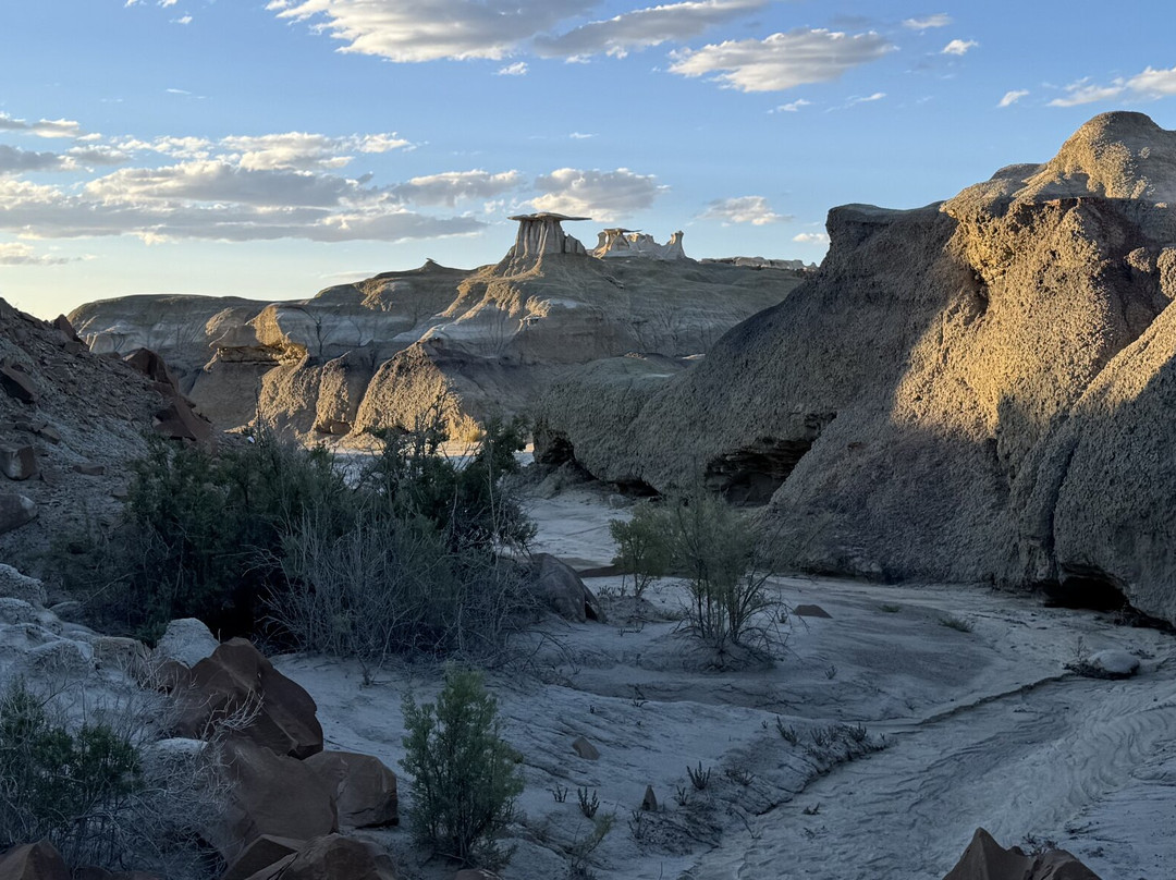Navajo Tours USA-Nageezi必去景点