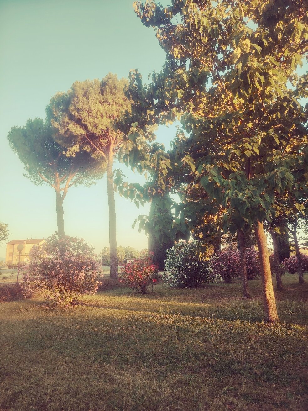 Hotel la Torretta-旅行者