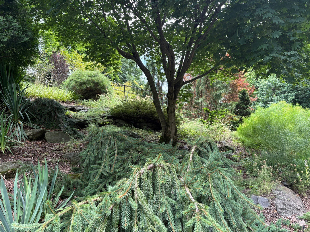 莫里斯植物园-费城必去景点