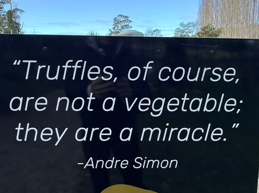 The Truffle Farm Tasmania-德洛兰恩必去景点