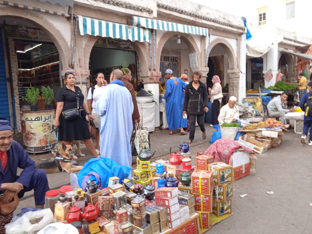Tours Across Morocco-马拉喀什必去景点
