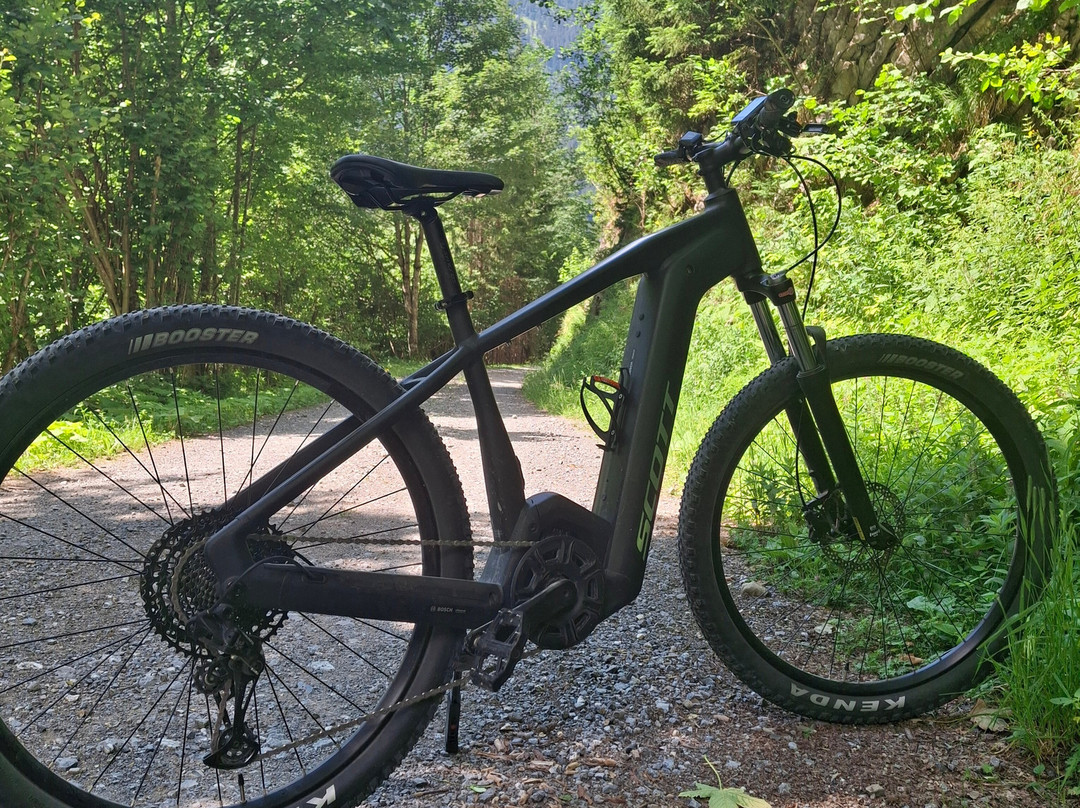 Radlgaudi Ehrwald - E-bike Verleih-埃尔森林市必去景点