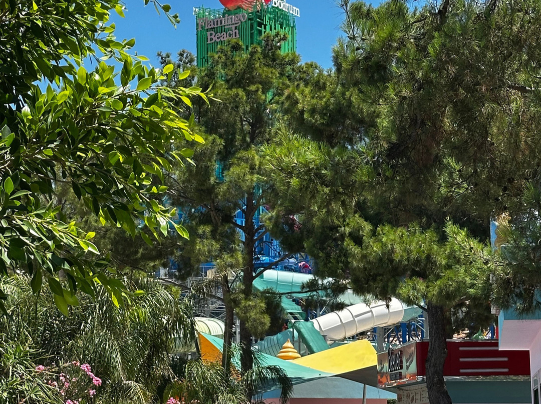 Candyland Bodrum-博德鲁姆必去景点