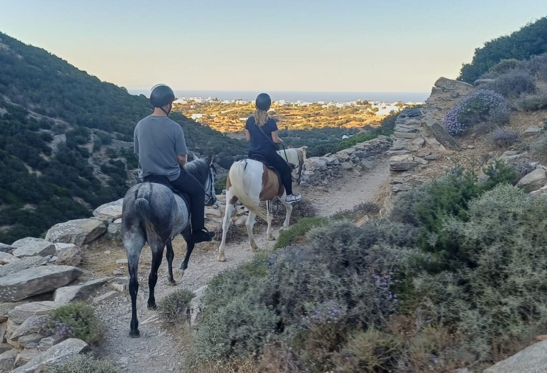 Sifnos Horseriding-锡弗诺斯岛必去景点