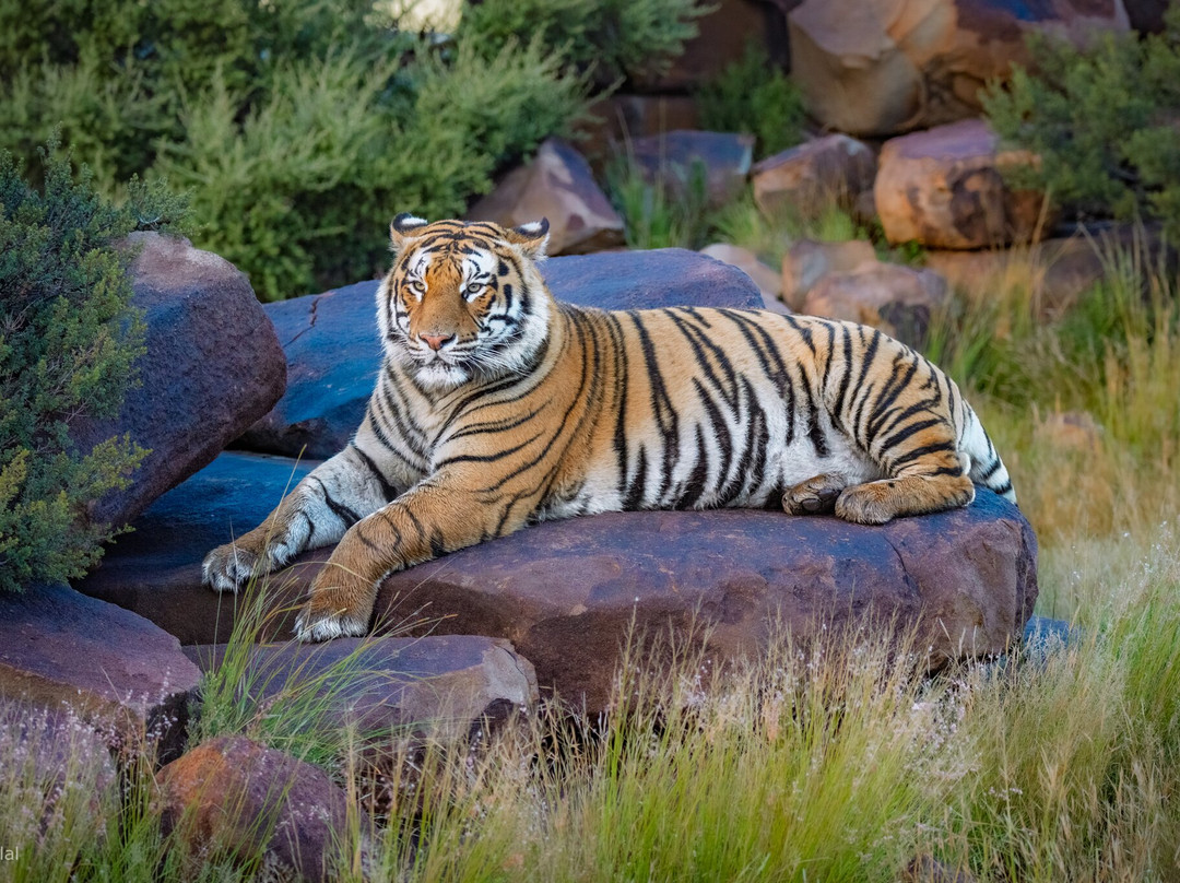 Kishindo Conservation Reserve-Philippolis必去景点
