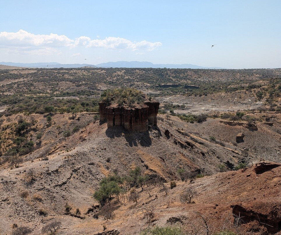 Olduvai Gorge Museum-恩戈罗恩戈罗保护区必去景点