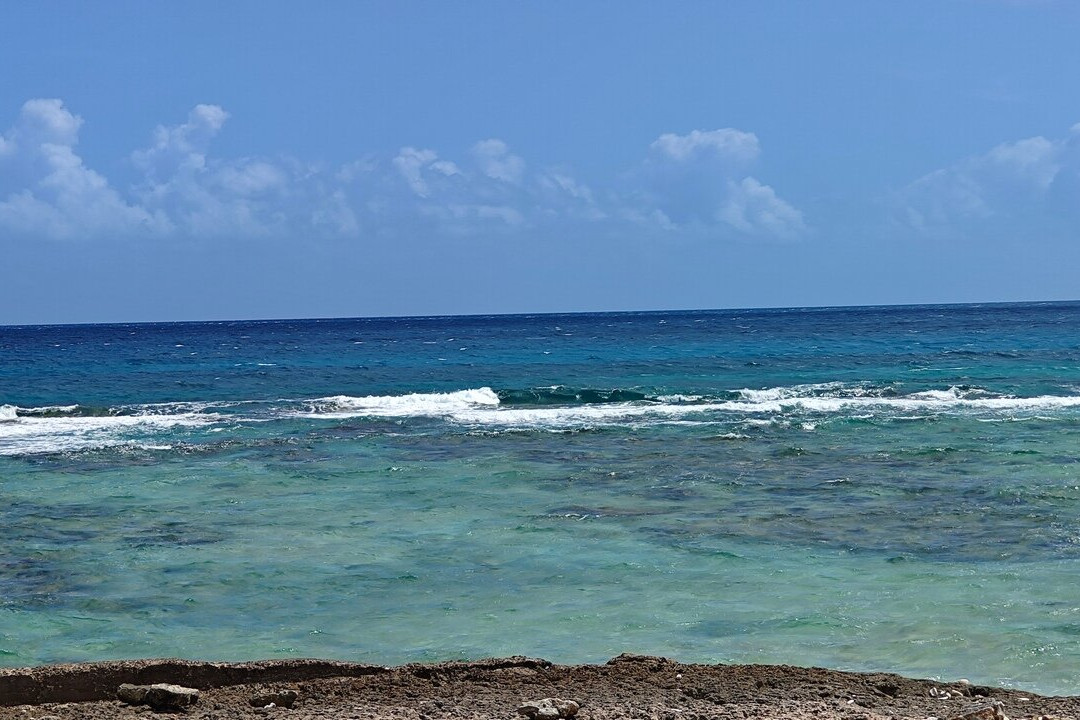 Playa Coral-巴拉德罗必去景点