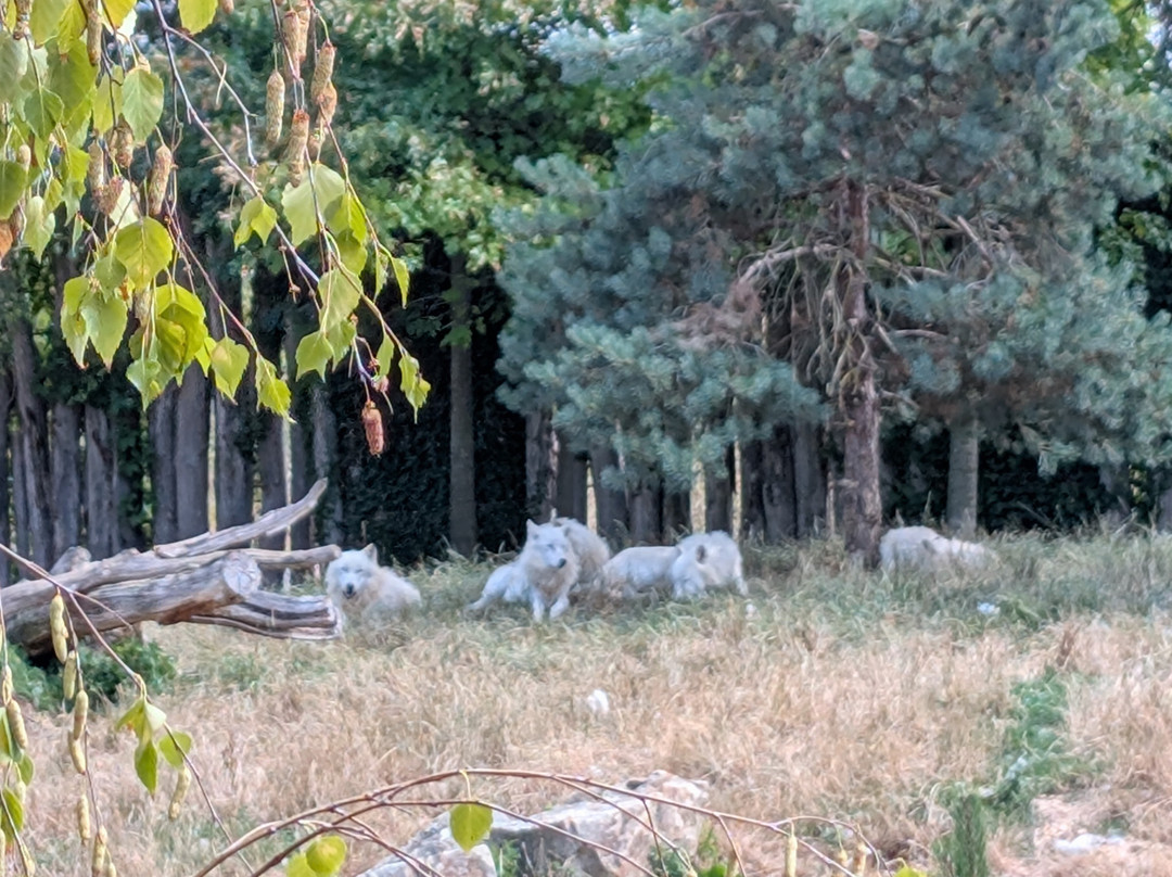ZooParc de Beauval-圣艾尼昂必去景点