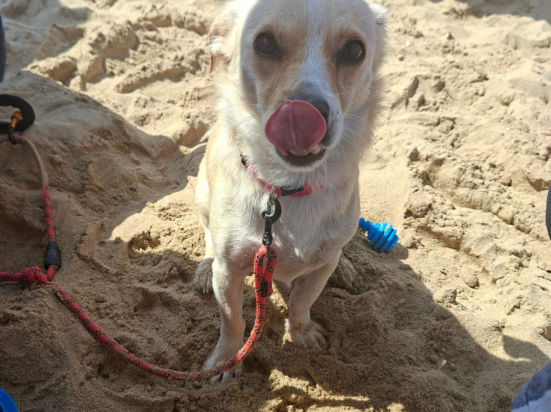 Blueberry - Stabilimento Balneare