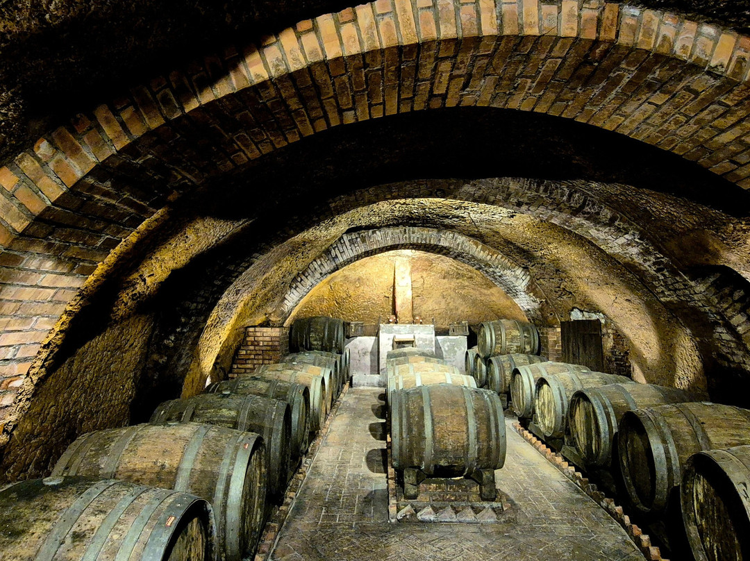 Cantine del Notaio-Rionero in Vulture必去景点
