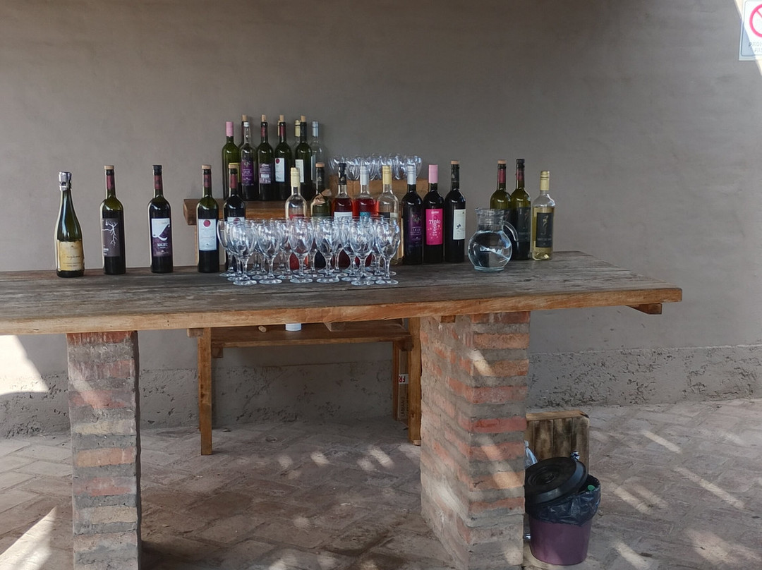 Bodega Labiano-圣拉斐尔必去景点
