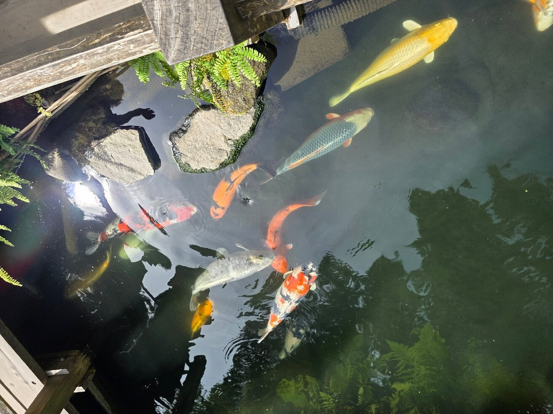 波特兰旅游景点-波特兰日本花园