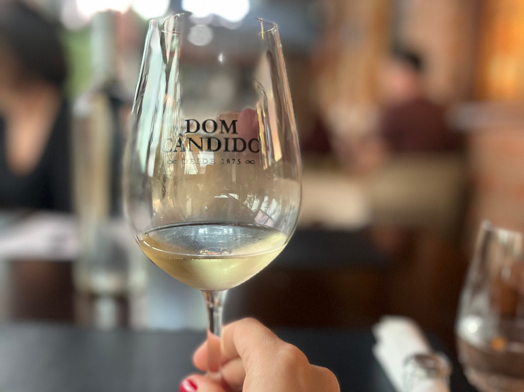 Vinicola Dom Cândido-本图贡萨尔维斯必去景点