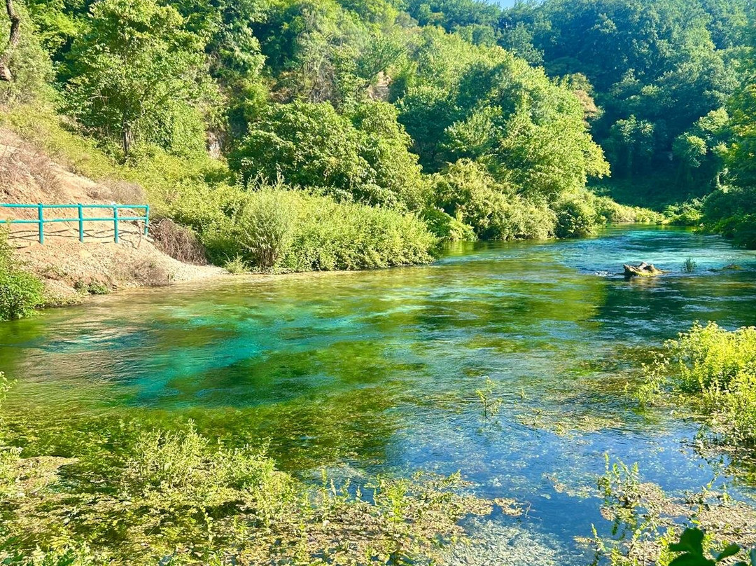 Syri I Kaltër