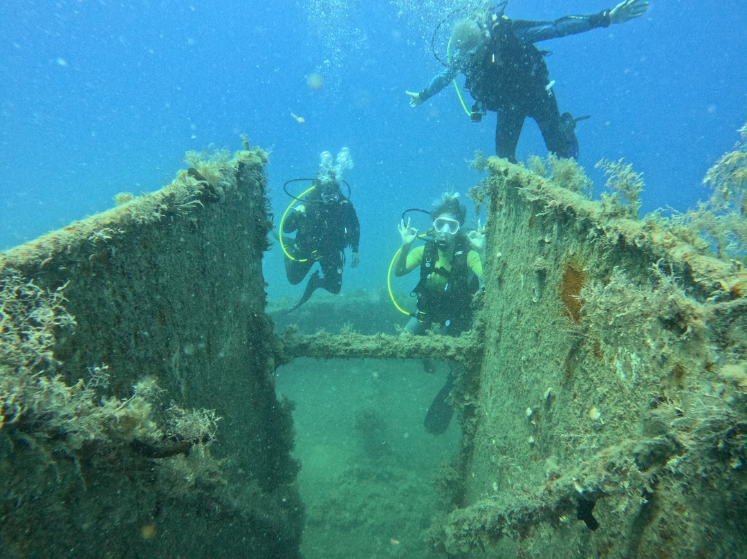Pro Dive (Ex Blue Thunder Diving)-利马索尔必去景点