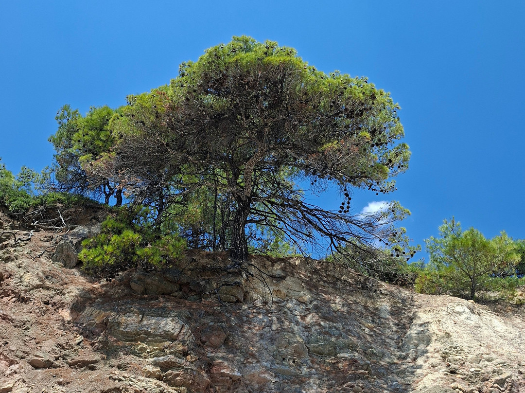 Fari Beach-Thassos Town (Limenas)必去景点