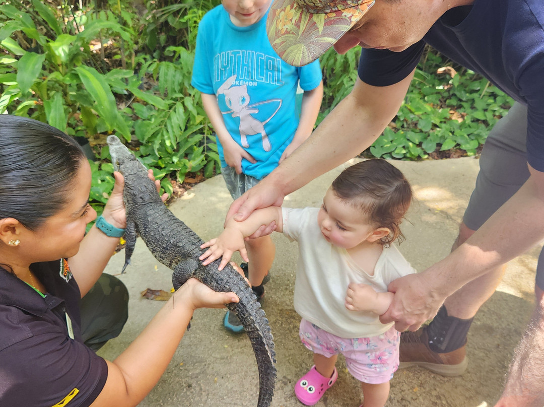 Croco Cun Zoo-从莫雷洛斯港必去景点