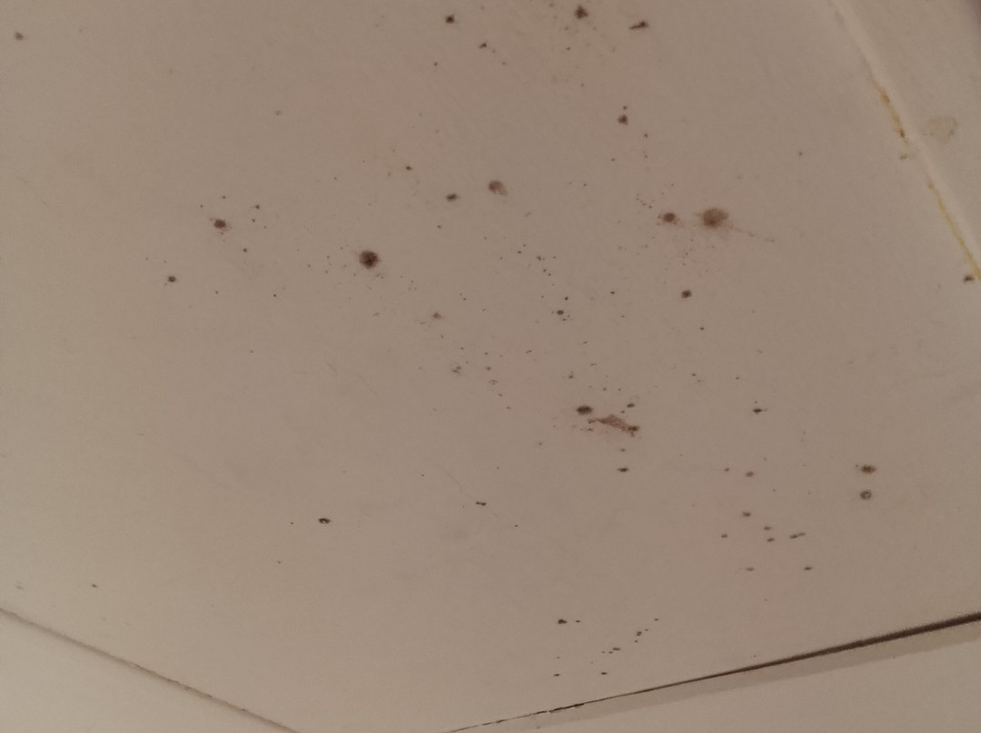 汉道夫旧磨坊汽车旅馆主图