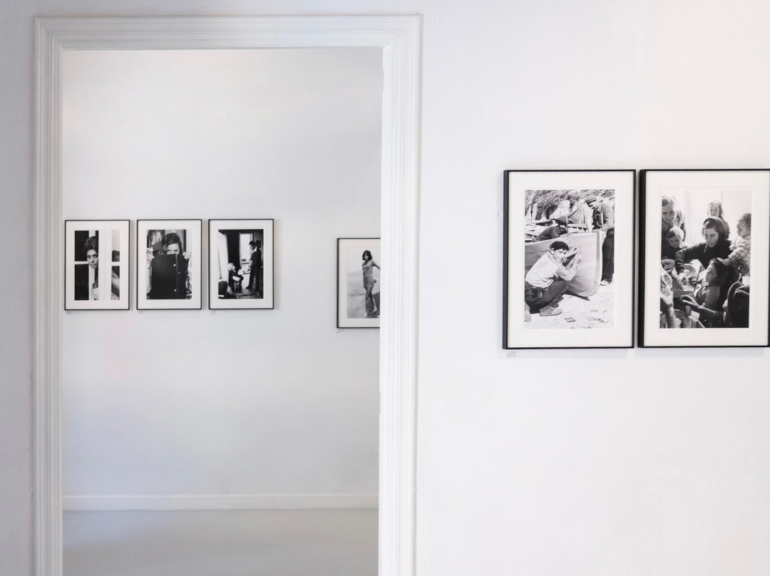 A66 Gallery