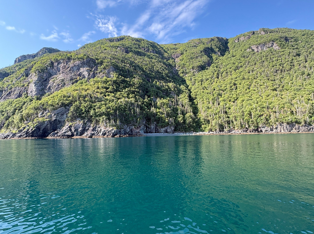 Wild Gros Morne-Trout River必去景点