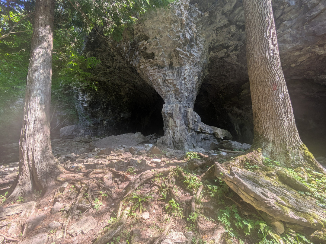 Bruce's Caves Conservation Area-Wiarton必去景点