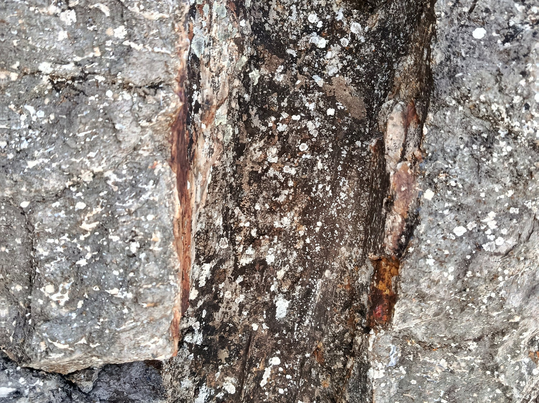 La foresta pietrificata di Martis-Martis必去景点
