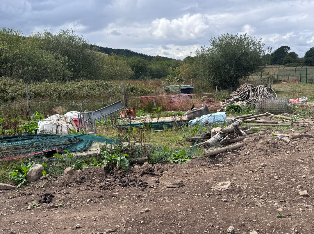 Wales Ape and Monkey Sanctuary-Abercraf必去景点