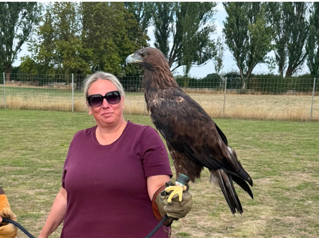 York Bird of Prey Centre-伊辛瓦必去景点