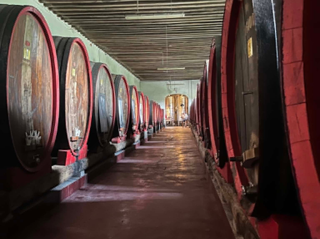 Azienda Agricola Rechsteiner-奥德尔佐必去景点