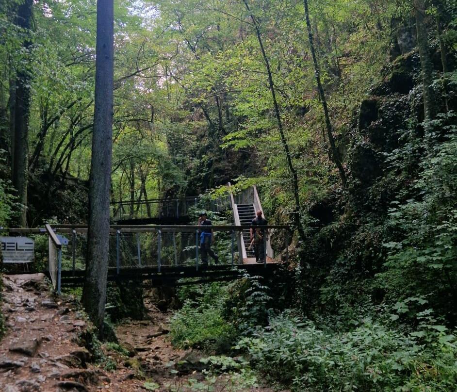 Johannesbachklamm-Wurflach必去景点
